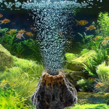 Aquarium Air Stone & Bubble Diffuser
