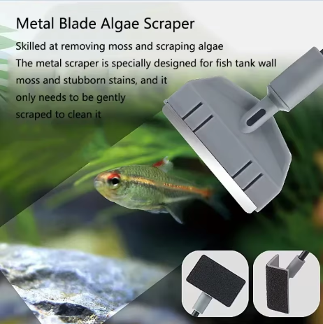 Fish Net & Algae Scraper Cleaning Kit