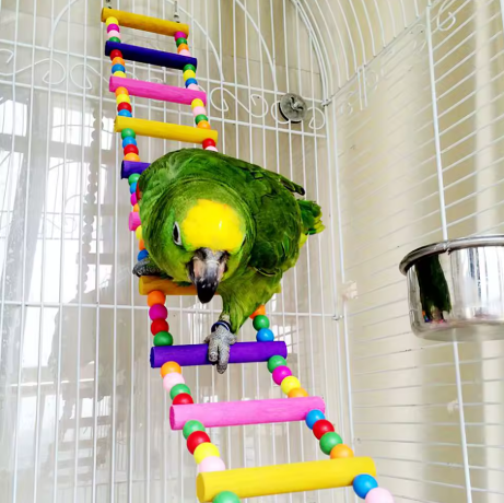 Colorful Bird Ladder Toy – Wooden Rungs & Rope
