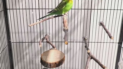 Natural Wood Perch Set – Multi-Size Bird Perches
