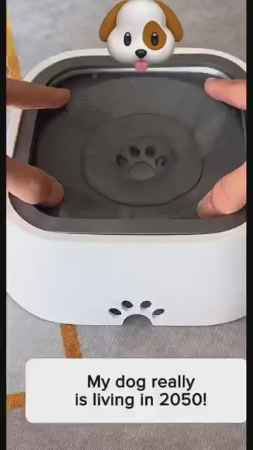 Dog Drinking Water Bowl with Floating Design - Non-Wetting, Non-Skid, Large Capacity